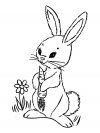 Dibujos para colorear - conejos, imprimir gratis