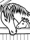 Dibujos para colorear - caballo, para un desarrollo infantil, en conjunto