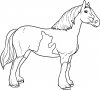 Imprimir dibujos para colorear - caballo, para niños y niñas