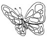 Butterfly - descargar gratis dibujos para colorear