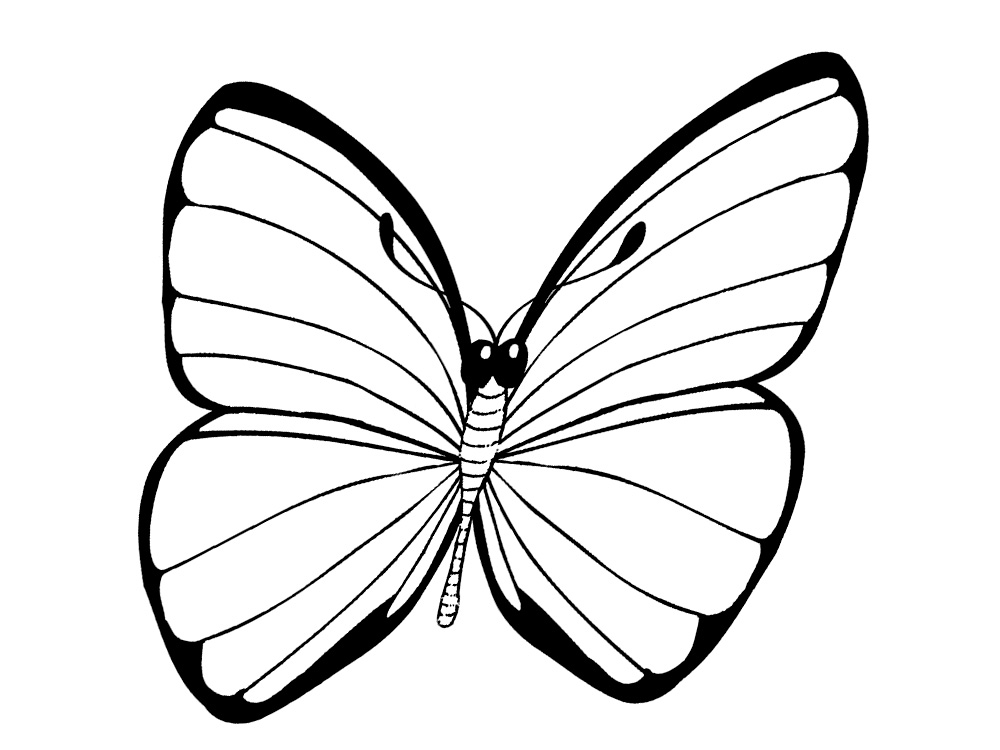 Butterfly - dibujos infantiles para colorear