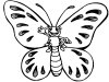 Útiles dibujos para colorear - butterfly, para chiquitines creativos
