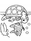 Dibujos animados para colorear - vida marina, para niños pequeños