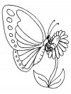 Dibujos para colorear - butterfly, para niños