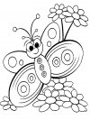 Dibujos para colorear - butterfly, para desarrollar la generación menor