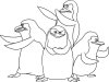 Descargar gratis dibujos para colorear - pinguinos