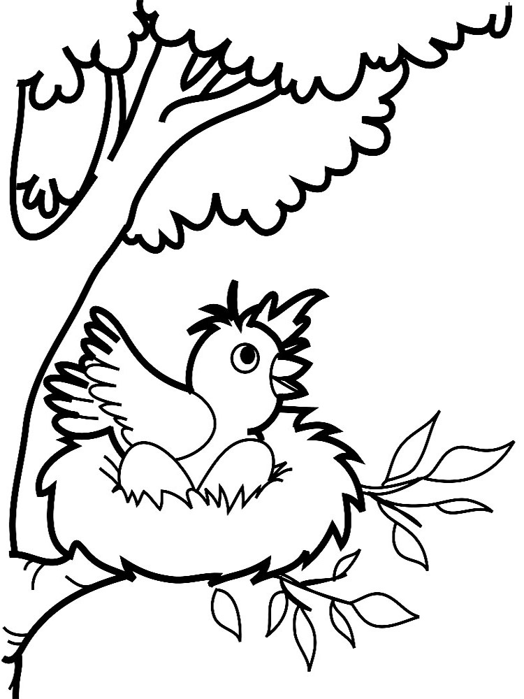 Dibujos infantiles para colorear - aves, para desarrollar movimientos musculares menudos