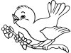 Descargar gratis dibujos para colorear - aves