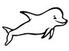 Dibujos para colorear - delfines, para un desarrollo infantil, en conjunto