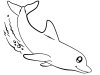 Dibujos para colorear - delfines, imprimir gratis