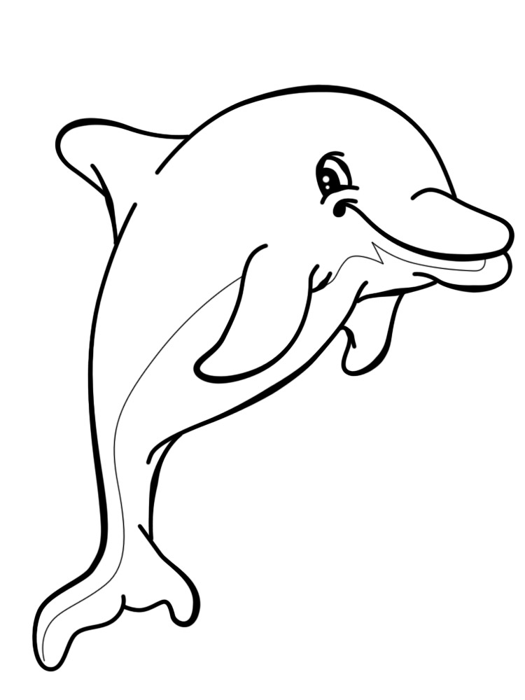 Delfines Tiernos Para Colorear / 146 Dibujos De.
