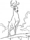 Dibujos para colorear - Bambi, para niños