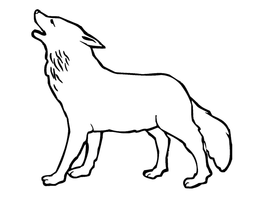 Dibujos infantiles para colorear - lobos, para desarrollar movimientos musculares menudos